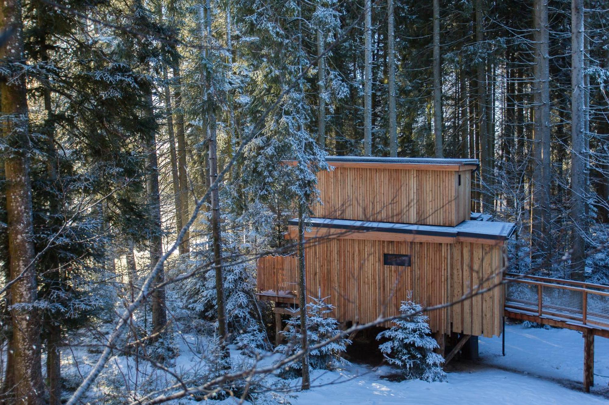 Domaine De L'Authentique Cabanes Dans Les Arbres Fournet-Blancheroche Habitación foto